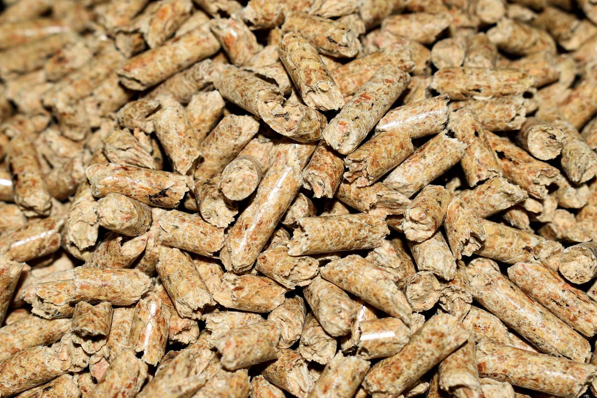 Premium çam pellet